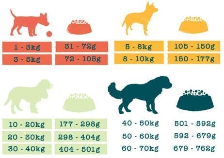 Benevo Dog Adult Original 1,8 kg - veganské krmivo - granule  pro psy