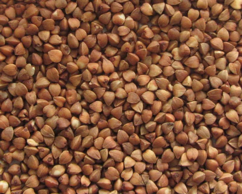 Pohanka loupaná kroupy Bio 500g Country life