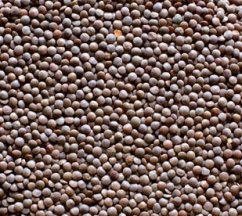 Čočka červená celá  neloupaná Bio 500g Country life