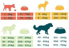 Benevo Dog Adult Original 1,8 kg - plant based vegan meal - kibble for dogs