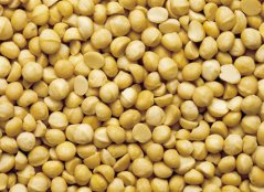 Macadamia nuts 80g Country Life