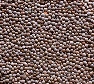 Čočka červená celá  neloupaná Bio 500g Country life