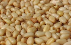 Pine nuts 50g Country Life