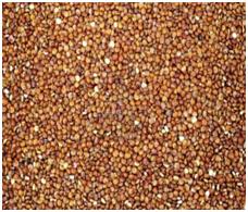 Quinoa červená Bio 250g Country life
