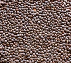 Čočka červená celá neloupaná Bio 500g Country life
