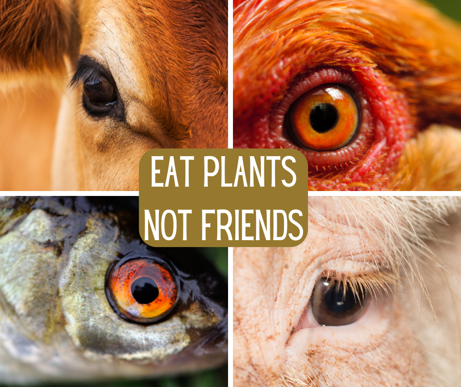 EAT PLANTS, NOT FRIENDS